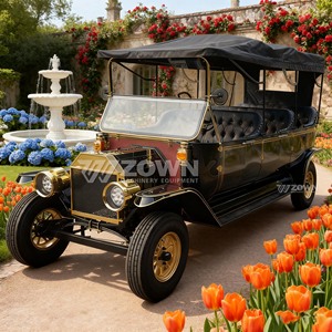 Coche Eléctrico Turístico Negro Vintage con Decoración Dorada para Servicio de Recorridos en Sitios Turísticos - Product Image 2