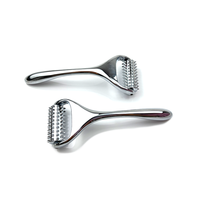 Vente en gros de rouleaux de massage Microneedle Derma Roller Rouleau de beauté faciale domestique en métal Silver Ridoki Masseur portatif