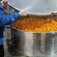 Voedselveilige roestvrijstalen vacuüm suikerdompelinrichting, energiebesparend voor fruitverwerkingslijnen
