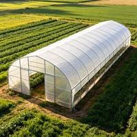 Serre Agricole Commerciale Complète en Kit – Meilleures Ventes