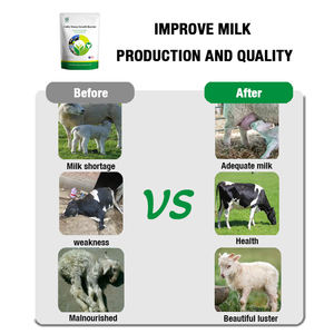 Private Label Cow Sheep <b>Goat</b> <b>Milk</b> Booster Vegetable <b>Powder</b> 1KG Increase <b>Milk</b> Production & Fat Rate Reduce Somatic Cell OEM - Product Image 4