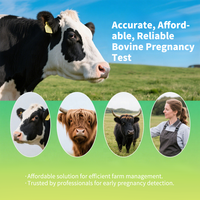 Kit de Détection Rapide de la Gestation Bovine – Instrument Vétérinaire pour Animaux – Bandelette de Détection de la Gestation chez les Bovins (Vaches) à partir de Sang Total (PAG)