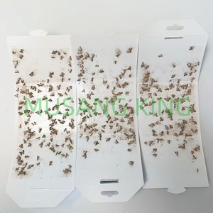 Pièges à mouches et à mites en papier écologiques personnalisés, colle forte, attrape-mouches collant - Product Image 3