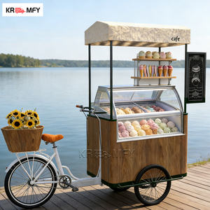 Motocicleta de Comida Rápida en Venta, Bicicleta Portátil con Congelador, Carrito de Helados - Product Image 5