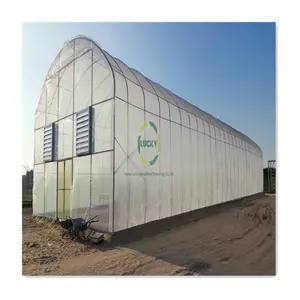 200 Micron Woven Aluminium Profiles Low Cost Agricultural Greenhouse With Temperature And Humidity Sensor