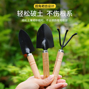Pelle de jardin AireShield, manche en bois, légère, pour creuser, planter, outils de jardinage - Product Image 5