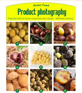 Châtaignes surgelées décortiquées, emballées sous vide, norme d'exportation, vente en gros - Product Image 3