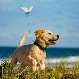 3D nhân tạo Dragonfly Clip vườn trang trí nội thất, hiện đại nhựa Vườn Cổ phần với kim loại clip, ngoài trời trong nhà trang trí, đa-màu - Product Image 3