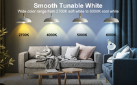 Ampoules LED d'éclairage intérieur à économie d'énergie les plus vendues CCT 220V 110V 12w Ampoules LED