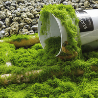 Mousse de Sphagnum Artificielle Shangchu pour Gazon, Pelouse, Aménagement Paysager – Mousse Filamentuse Verte, Durable et Écologique