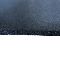 FitFirst Premium Gummi-Fitnessbodenplatten mit Stoßdämpfung & Lärmreduzierung Anpassbare Mehrfarbige ODM/OEM 1m X 1m X 15mm