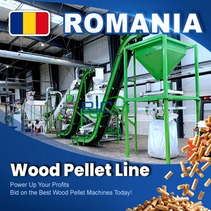 Ligne de fabrication de granulés de <span class=keywords><strong>bois</strong></span> RICHI CE - Usines complètes de granulés de <span class=keywords><strong>bois</strong></span> biomasse 1-2 T/H avec service d'installation en Roumanie - Product Image 1