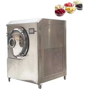 VBJX Industrial Stainless Steel Tabletop Tunnel Liquid Large Capacity Food Fruit And Vegetable Freeze Dryer For Milk With Trays