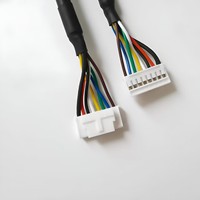 Konektor kustom Jst Molex 2.0 Ph 2.0 2/3/4/5/6/7/8/9/10-Pin Harness kawat dengan isolasi PVC rakitan kabel elektronik