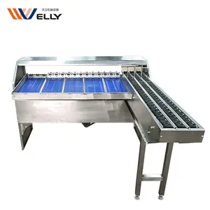 Industrial 5 Lane Simple Mini Duck Egg Grader Small Egg Weight Grading Machine For Sale