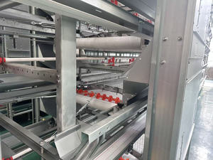 Tùy chỉnh H loại gà lồng h loại gia cầm lồng và pin lồng cho gia cầm khác nhau giống và trang trại kích cỡ - Product Image 5