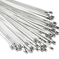 Attaches en métal 30 cm (11,8 pouces) 100 pièces, robustes, multi-usages, autobloquantes pour machines, véhicules, fermes, tuyaux, toitures et câbles