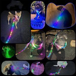 12 <b>Lighting</b> Modes <b>Led</b> Dog Leash Reflective Pet Lead <b>USB</b> Rechargeable Luminous Waterproof Dog Lead Glow in the Dark <b>Led</b> Dog Leash - Product Image 2