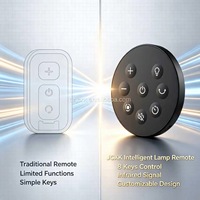 Lámparas Inteligentes Infrarrojas JCXK de 8 Teclas con Control Remoto, Plástico ABS, OEM, ODM, Suministro de Fábrica Personalizado