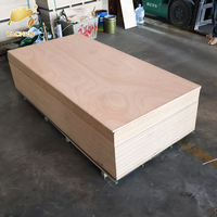 Fabricant de bois de haute qualité noyau formica contreplaqué okoumé face placage gabon pour contreplaqué