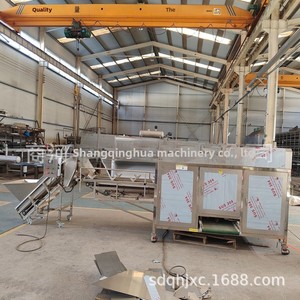 Macchina Sbucciatrice di Cipolle ad Alta Produttività Qinghua con Garanzia - Product Image 6