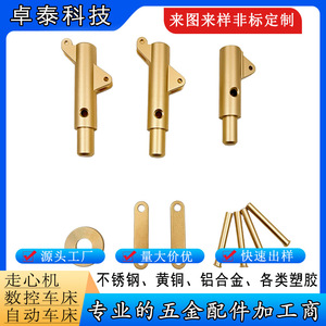 Cnc Machined Brass <b>Pin</b> Cylindrical Head Smooth Surface General Use 46mm Diameter 200mm Length Finishing Accuracy - Product Image 5