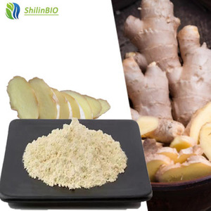Extracto de Raíz de Jengibre Soluble en Agua 10% 98% 99% en Polvo, Grado Alimenticio, Extracto Herbal, Envasado al Vacío en Tambor - Product Image 2