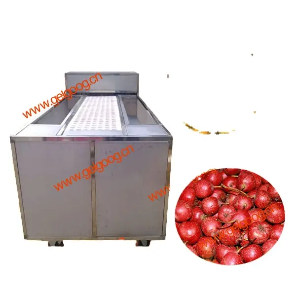 Semi-Automatic Fruits Pitting and Half Cutting Machine|Pear Pitting and Half Cutting Machine|Apple/Peach/Plum Pitting Machine