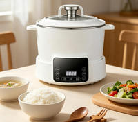Cuiseur à riz intelligent à faible teneur en sucre, panier vapeur relevable, contrôle numérique, chauffage IH, cuve intérieure en acier inoxydable, cuisson rapide 2,1-3,0 L