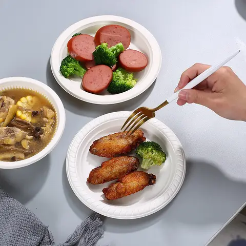 Disposable Plates Weddings Takeout Fast Food Serving Trays