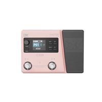 DK IE-550 Master Multi-Effects Processor/Pedal for Guitar