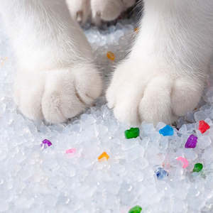 <span class=keywords><strong>Arena</strong></span> para <span class=keywords><strong>Gatos</strong></span> Económica de Larga Duración, Granulada de 1-8 mm, Libre de Polvo, de Gel de <span class=keywords><strong>Sílice</strong></span> Altamente Absorbente, Control de Olores, para <span class=keywords><strong>Gatos</strong></span> de Todas las Edades - Product Image 2