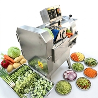 Multifunctionele zoete aardappel-, groente- en fruitsnijder, -rasp en -snijmachine