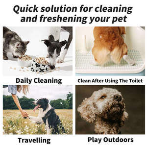 Manufacturers Customized Logo 100 Count Disposable Soft Pocket <b>Bath</b> Wet Pet Cat Cleaning Grooming Wipes for Pets - Product Image 4