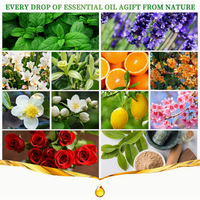 Huiles de parfum frais en vrac d'usine pour parfum savon bougie faisant des huiles essentielles de diffuseur d'aromathérapie pour cadeau d'humidificateur