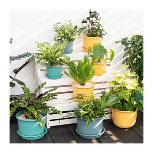 Alta qualidade colorido Indoor Flowerpot Bonsai Plastic Plant Pots Atacado Circular jardim pote