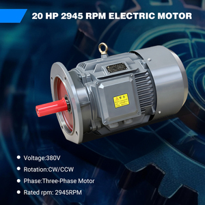 Motor de Inducción Trifásico de CA de 60Hz, 380V, 15kW, 20hp, 100% Cobre, 2880rpm, 2 Polos para Bombas - Product Image 5