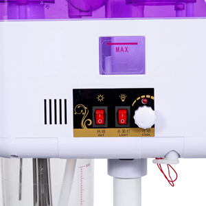 Humidificador blanqueador e hidratante Dispositivo de vaporización facial 2 en 1 Spa Vaporizadores iónicos nano fríos y calientes - Product Image 3