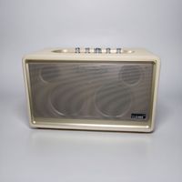 Enceinte Karaoké Rétro en Cuir 100W 3 Haut-parleurs avec 2 Micros Sans Fil FM USB TF AUX Lumière Ambiante LED Rechargeable