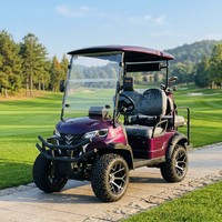 Voiturette de golf électrique violette 2 places en gros, moteur AC 4kW, autonomie 60V 80-100km, pneus tout-terrain, homologuée route, personnalisable OEM, 30-50km/h, CE
