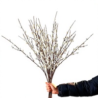 Grenzüberschreitender Bestseller Hochwertige Künstliche Silberweiden-Blumen Premium-Qualität Direktvertrieb Großhandel Weich