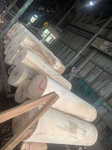 High-Quality Meranti Solid Plywood for <b>Furniture</b> Applications Meranti Plywood Factory Price Plywood Manufacturer - Product Image 4