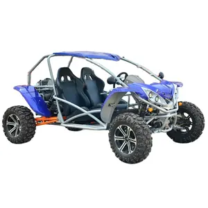 LNA push the limits 500cc 4x4 buggy