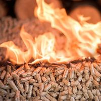 Briquettes de chauffage à haute valeur calorifique pour le chauffage au bois et aux granulés, sacs de 15 kg, empilables sur palette, économie d'énergie