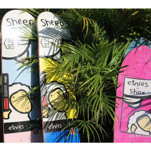 Planche de skateboard professionnelle en bois d'érable canadien, type cruiser fish, avec graphismes de haute qualité, planches pro complètes. - Product Image 6