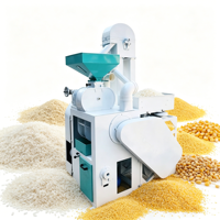 Machine à décortiquer le riz entièrement automatique à haute efficacité avec moteur, capacité de 400 kg/h, faible taux de brisage