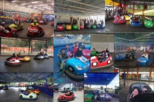 Prezzo di fabbrica parco divertimenti attrezzature batteria elettrica paraurti auto - Product Image 6