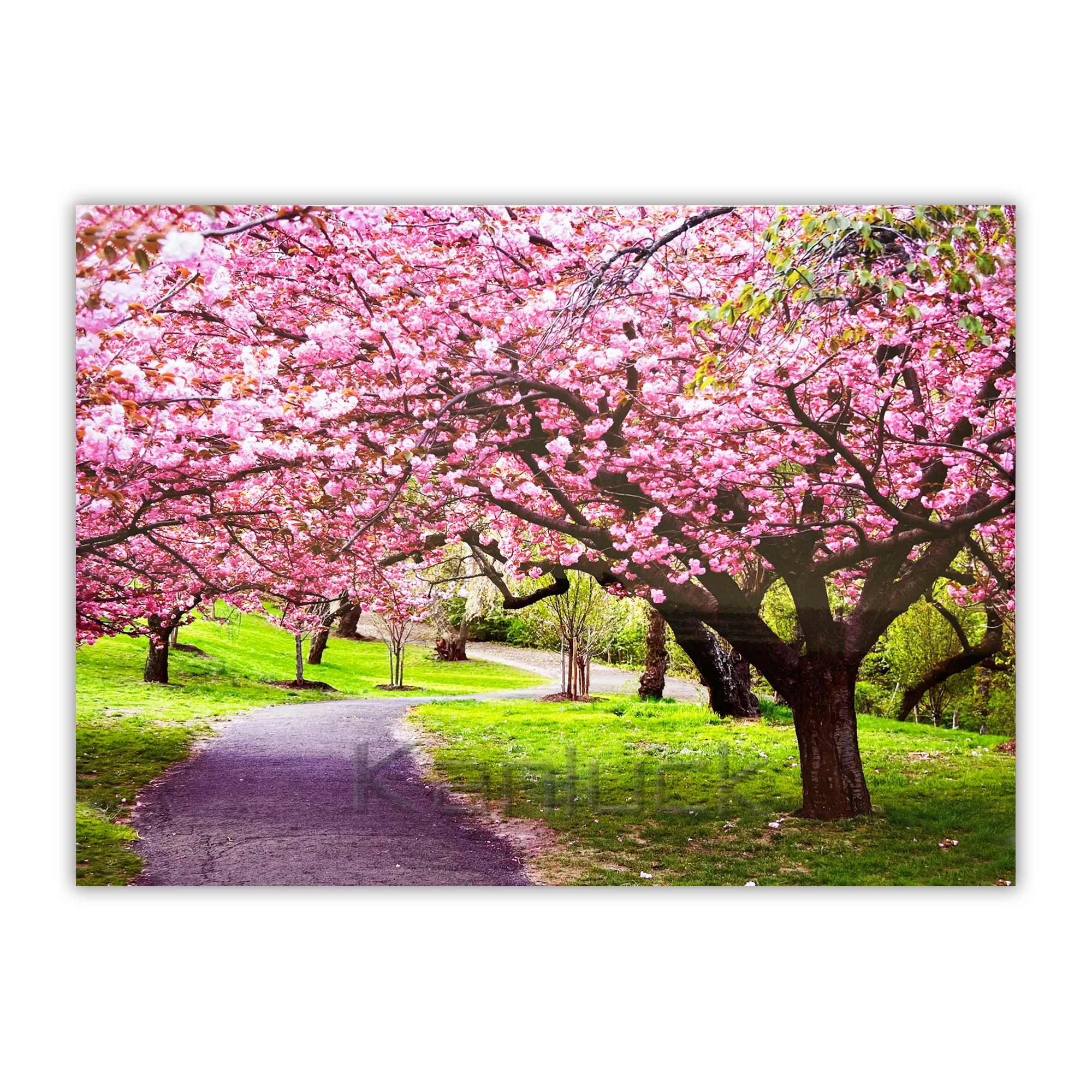 Peinture sur toile d'art de mur de paysage d'arbres de marbre rouge avec de la laque