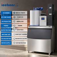 Machine à glace en flocons de neige en acier inoxydable 800 kg/jour, personnalisation rapide, usage commercial et industriel, durable, haute performance