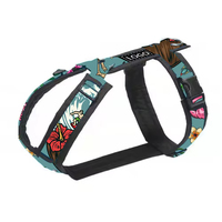 Harnais pour chien robuste en forme de H, avec fonction anti-évasion, motifs personnalisés, fonction Step-in, poignée rembourrée